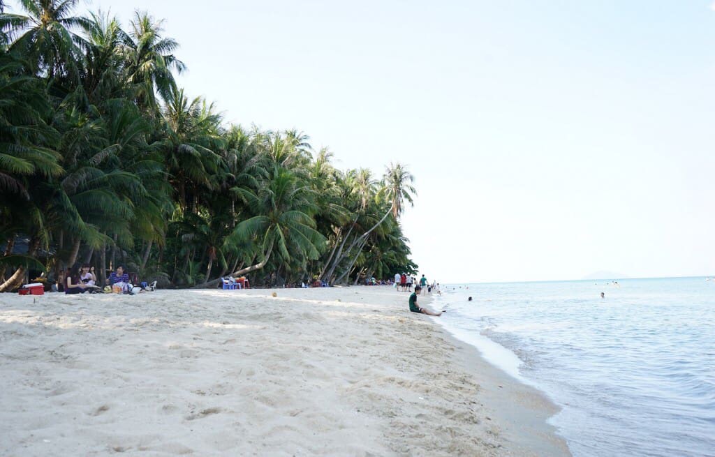 Nhà nghỉ Windy Hòn Sơn: Chốn dừng chân giá rẻ mới toanh cho lữ khách