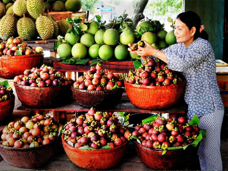 Top 5 vườn trái cây Lái Thiêu Bình Dương giá rẻ, làm hài lòng tâm hồn ăn uống