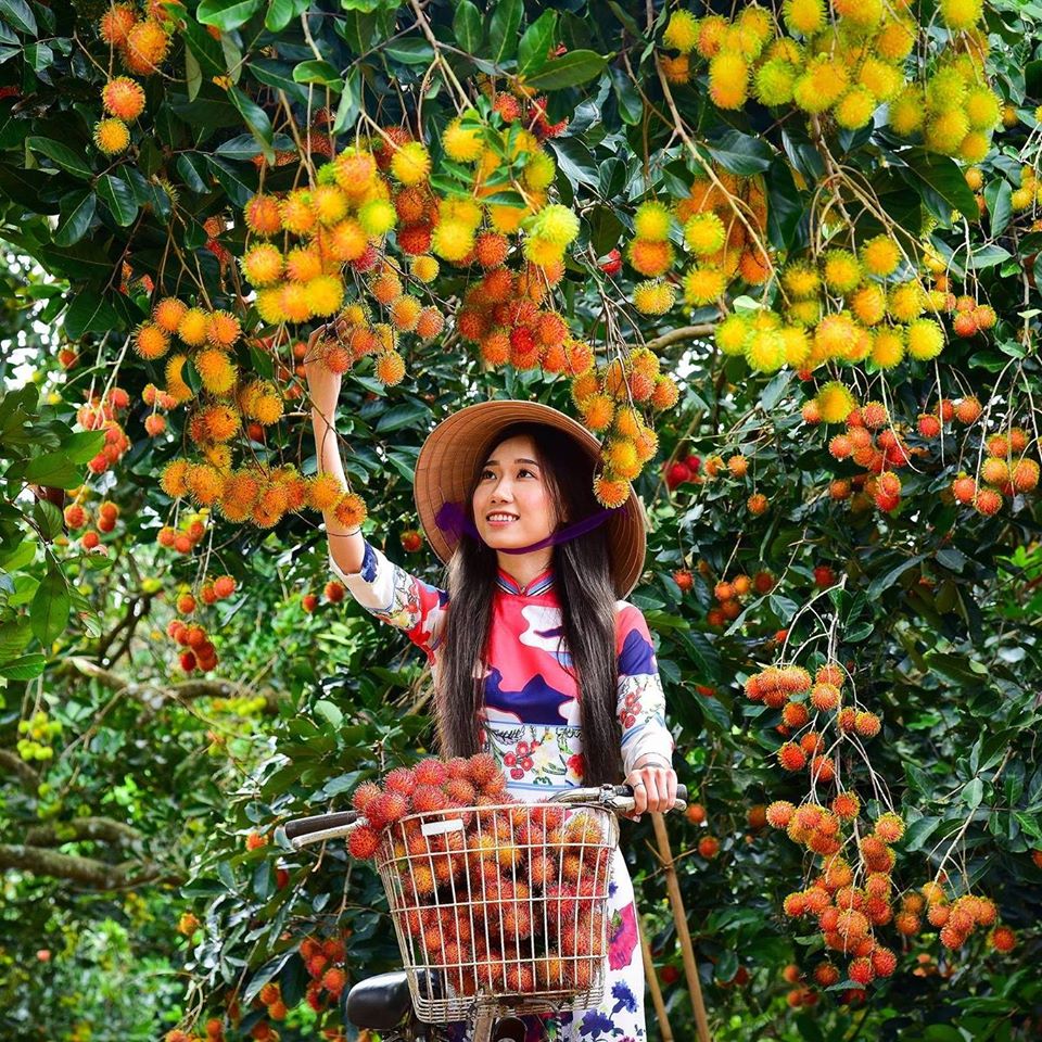 Top 15 vườn trái cây Long Khánh Đồng Nai sai trĩu quả, tham quan chỉ 10k